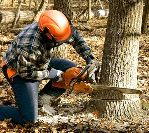 Tree Removal in Garfield, KS